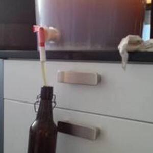 Danglish delights - dining experience by Rico Christensen in Rødovre, Greater Copenhagen